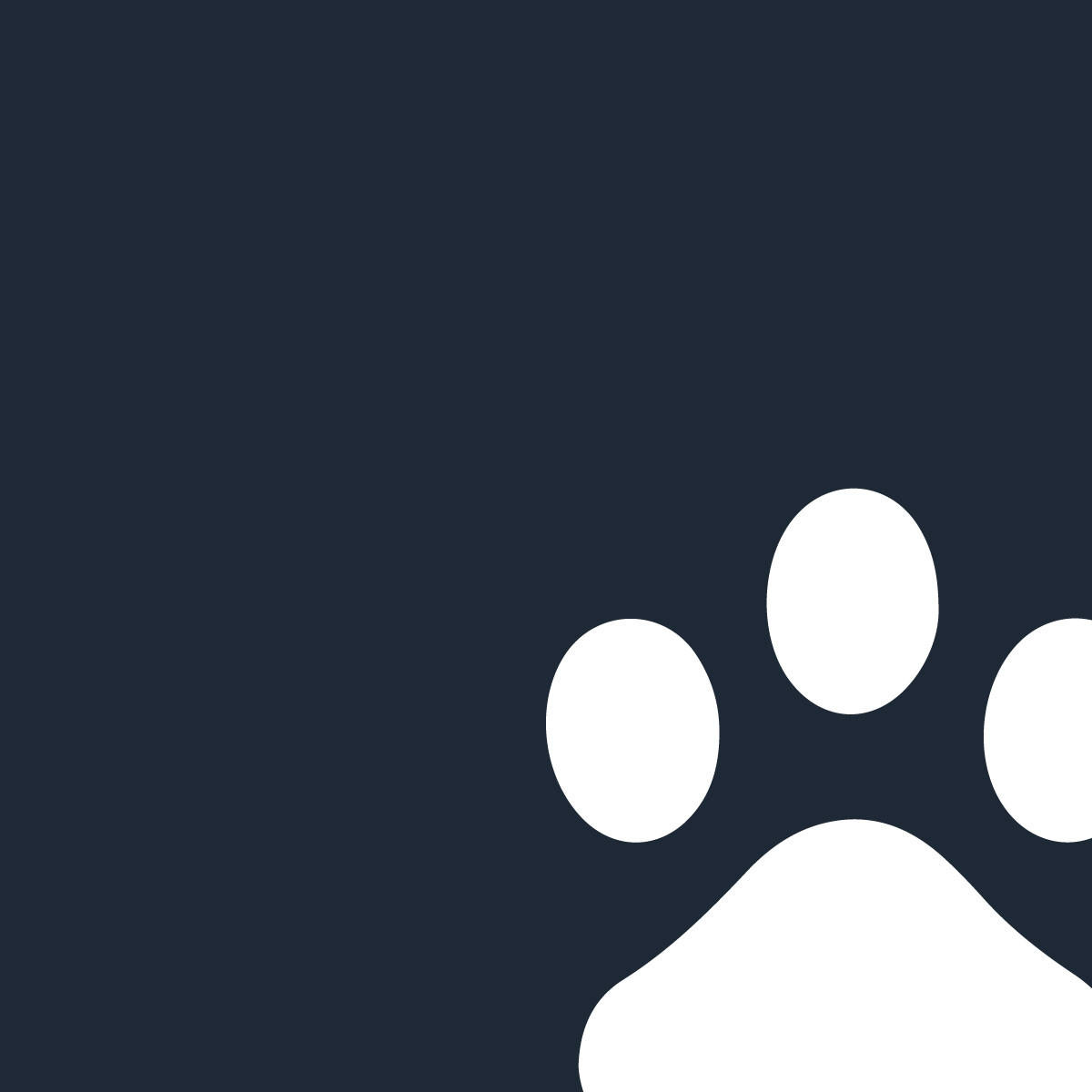 netzoo