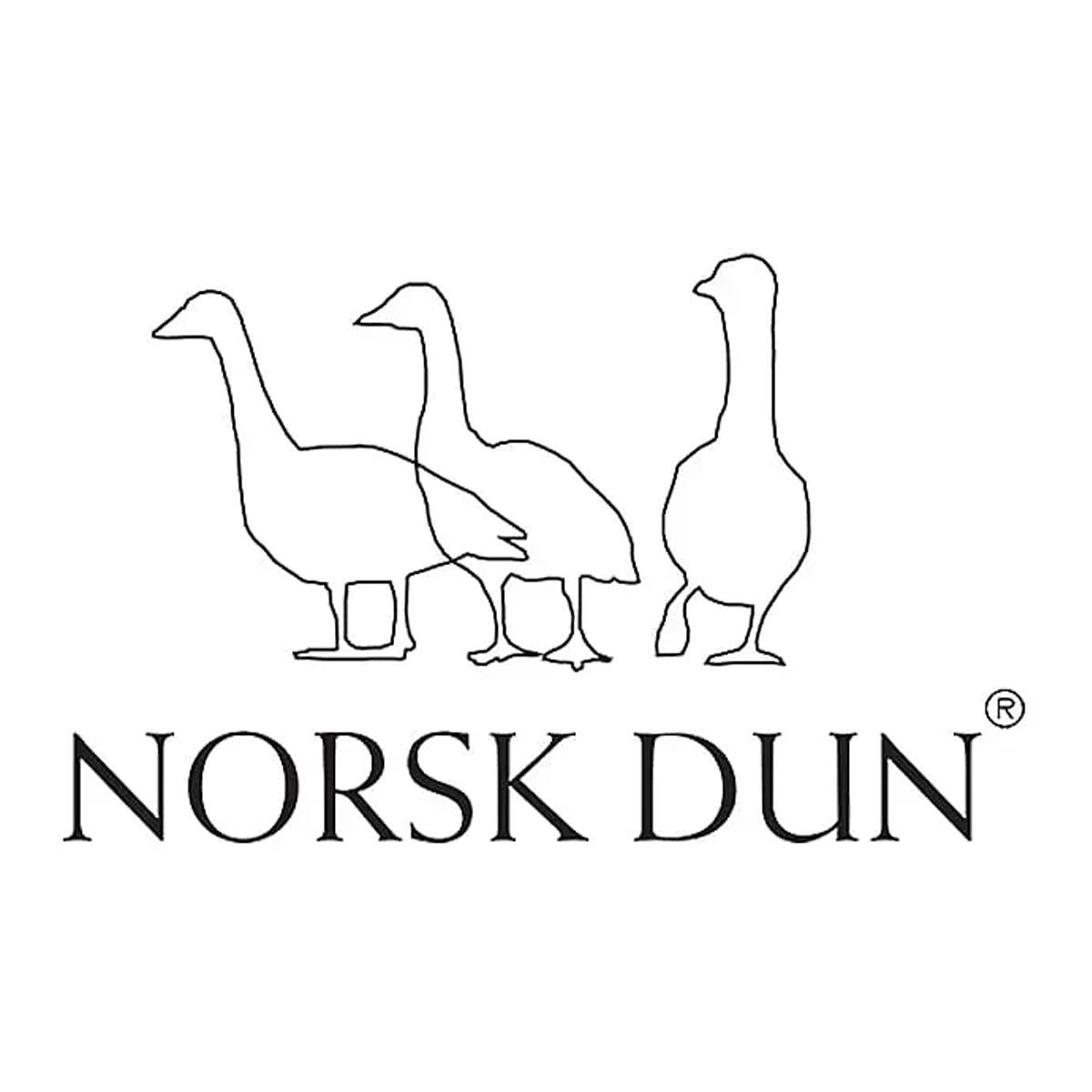 Norsk Dun